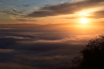 beautiful and colorful sunrise in the springtime