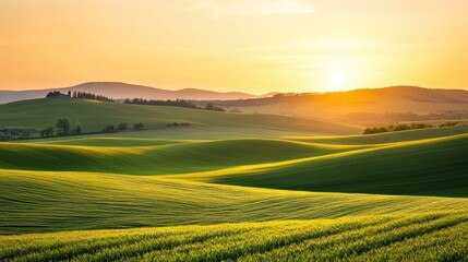 Obraz premium A breathtaking view of rolling farmland hills bathed in golden sunset light, showcasing the beauty of the rural landscape. 