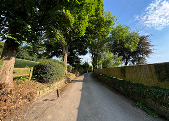 A narrow country road, with wooden fencing, and old trees, on a sunny day near, Mirfield, UK