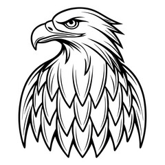 Obraz premium a detailed line art drawing of an eagle's head, showcasing its sharp beak, intense gaze, and intricate feather details
