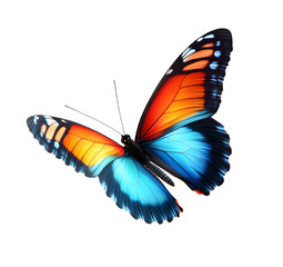 Fototapeta premium Very beautiful blue orange butterfly in flight isolated on a transparent background.