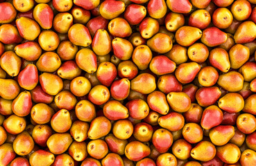 Pears background, wallpaper. 3D rendering