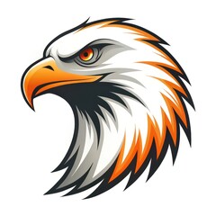 Obraz premium Majestic Bald Eagle Head Profile