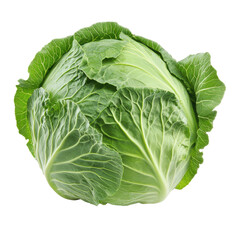 Fototapeta premium Fresh green cabbage isolated on a white background showcasing its crisp leaves and vibrant color, cabbageisolated on white background