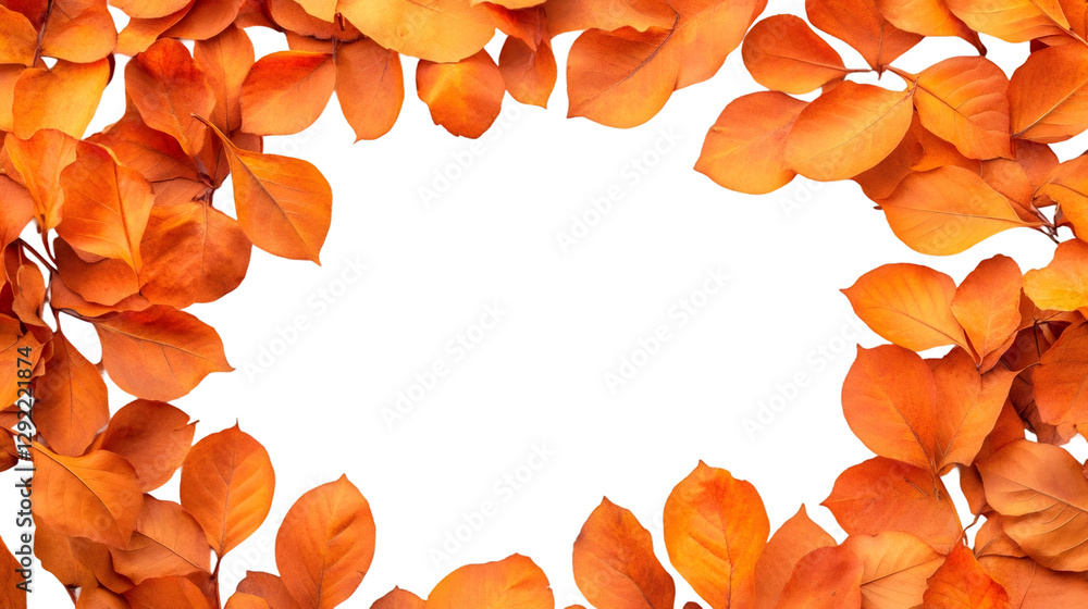 Aufkleber frame of colorful autumn leaves creating a border on a transparent background, ideal for fall-themed