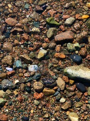 A vibrant assortment of pebbles and stones visible beneath crystal clear water, showcasing natural beauty and colorful textures in a serene aquatic setting.
