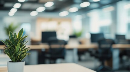 Modern office interior with plant