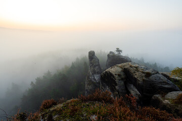 Sonnenaufgang im Nebel auf dem Gamrig in der Sächsischen Schweiz in Sachsen Deutschland