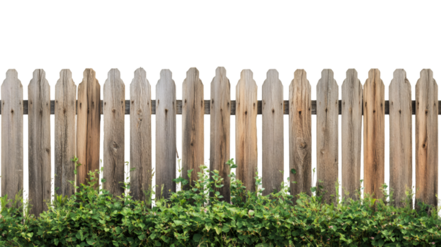 Weathered wooden fence texture, green foliage overlay, transparent background, perfect for architectural rendering and graphic design compositions