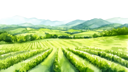 Watercolor painting of a picturesque vineyard landscape with mountains, perfect for wine-related projects or nature-inspired designs
