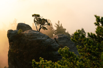 Sächsische schweiz, nebel, landschaft, see, nebel, wasser, natur, morgen, himmel, wald,...