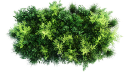 Dense forest canopy viewed from above, forming verdant green landscape, suitable for architectural rendering or environmental design, transparent backdrop