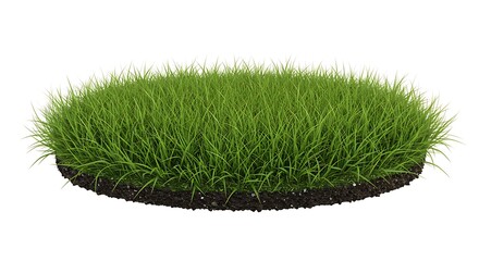 Two Lush Green Grass Patches on White Background, 3D Render