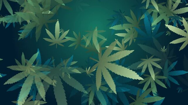 Animated plant looped green background with falling marijuana leaves. Abstract motion graphics.