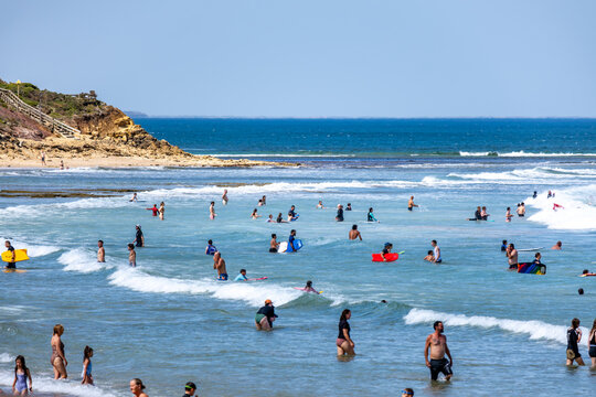 At Torquay Surf Beach on the Great Ocean Road, crowds of swimmers and surfers enjoy the gentle waves, while rugged coastal cliffs form a scenic backdrop. VIC Australia.