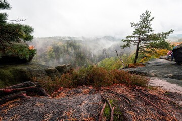 Mystische Gebirge Landschaft mit Nebel im Nationalpark Sächsische Schweiz in Sachsen Deutschland