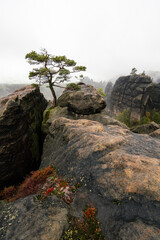Mystische Gebirge Landschaft mit Nebel im Nationalpark Sächsische Schweiz in Sachsen Deutschland