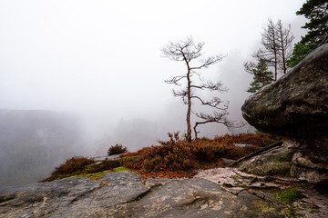 Mystische Gebirge Landschaft mit Nebel im Nationalpark Sächsische Schweiz in Sachsen Deutschland