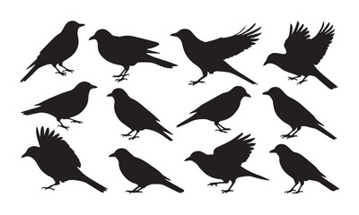 "Set of Black Bird Silhouettes – Vector Illustration of Perched and Flying Birds on White Background"