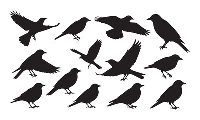 "Set of Black Bird Silhouettes – Vector Illustration of Perched and Flying Birds on White Background"