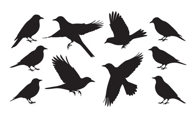 "Set of Black Bird Silhouettes – Vector Illustration of Perched and Flying Birds on White Background"