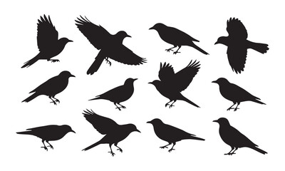 "Set of Black Bird Silhouettes – Vector Illustration of Perched and Flying Birds on White Background"