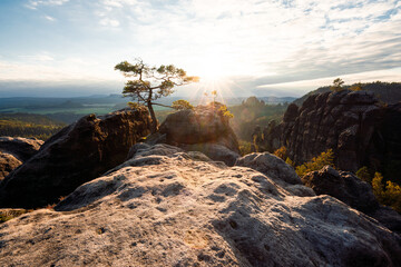Sonnenuntergang am Lehnsteig Sandstein Berg im Nationalpark Sächsische Schweiz in Sachsen...