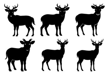  Animal Clipart Bundle Perfect for Wildlife, Nature, and Creative Design Projects