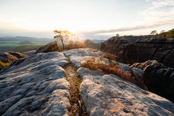 Sonnenuntergang am Lehnsteig Sandstein Berg im Nationalpark Sächsische Schweiz in Sachsen...
