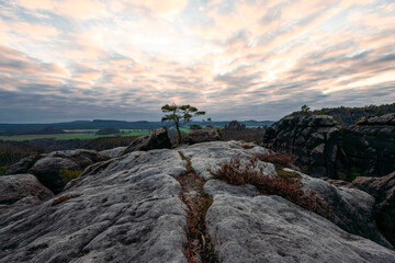 Sonnenuntergang am Lehnsteig Sandstein Berg im Nationalpark Sächsische Schweiz in Sachsen...