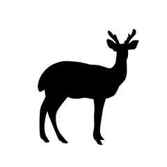 Deer Vector Illustration Set