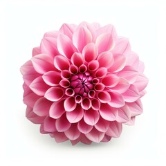 A delicate flower cutout stands out against a  white background, showcasing its intricate details.