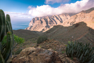 Górski krajobraz z kaktusami i widokiem na ocean © Adam.rtk
