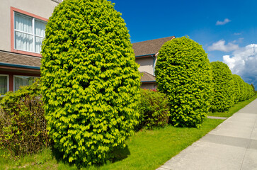 Two story luxury house with beautiful summer  landscape in Vancouver, Canada, North America. Day...