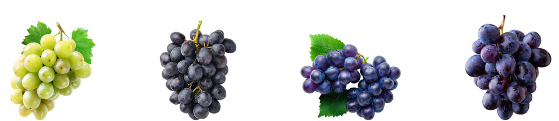 Fototapeta premium Grapes on transparent background collection set