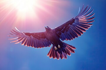 Obraz premium Eagle Soaring, Sunny Sky, Freedom