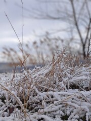 A magical winter fairy tale: a collection of images that reflect the unique beauty of the winter season. This series conveys all the magic of winter time.