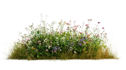 Cutout image of grass and colorful flowers isolated on transparent background, ideal for photo editing and graphic design