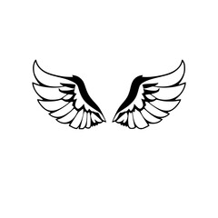 Black and White depiction of spread wings.