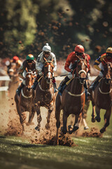 Under the Sun: A Vibrant Display of Competitive Horse Racing in Full Throttle
