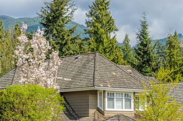 Top of luxury house with shingle roof, red and yellow trees and nice windows in Summer in...