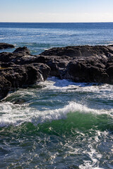 日本周遊　早春の光あふれる大洗あたり