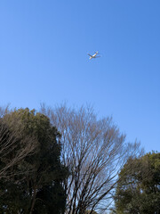 日本周遊　早春の光あふれる石岡あたり