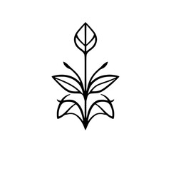 A black and white illustration of a stylized floral plant, with clean lines and a minimalist aesthetic. The illustration features a central stem with leaves and delicate details.