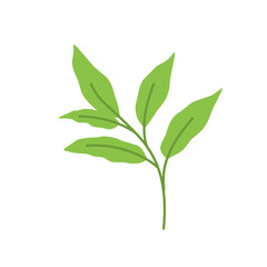 Simple Green Leaf Illustration