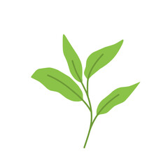 Fototapeta premium Simple Green Leaf Illustration