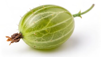 Single Green Gooseberry