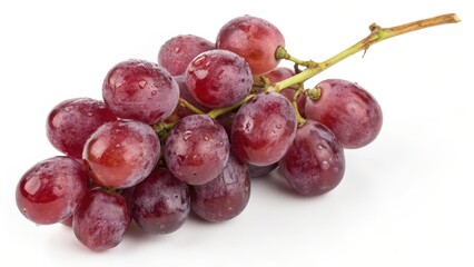 Fototapeta premium Red Grapes on the Vine