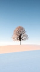 A lone tree stands in the snow beneath a blue sky