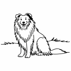 Obraz premium dog rough collie line art icon, isolated vector illustration, drawing